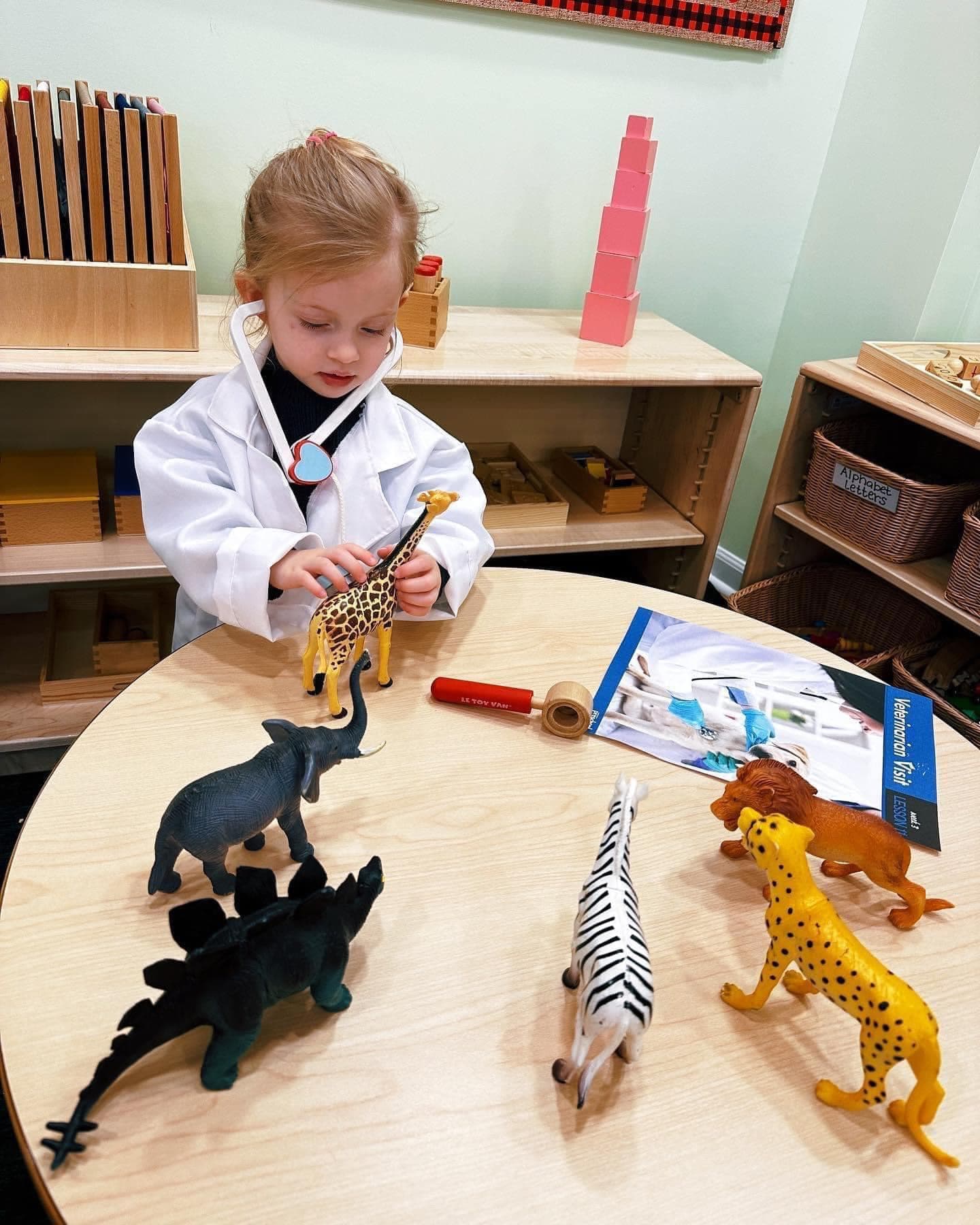 Preschooler playing veterinarian with toy animals in a Montessori classroom